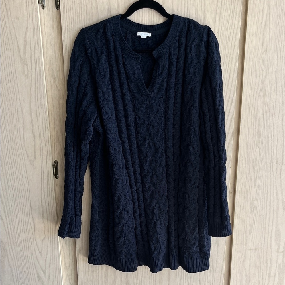 J. Jill Navy V-Neck Cable Knit Sweater